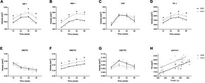Evolution of <mark class="highlighted">Brain Morphology</mark> in Spontaneously Hypertensive and Wistar-Kyoto Rats From Early Adulthood to Aging: A Longitudinal Magnetic Resonance Imaging Study